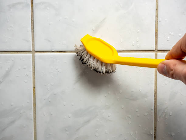 Best Mold Cleaning Services  in Nelsonville, OH